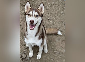 LUNA sucht ihre(n) Menschen...