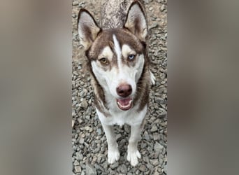 LUNA sucht ihre(n) Menschen...