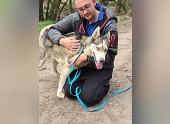 Mylot, geboren 01.01.2025, 55cm sucht Aktivität