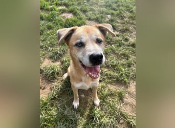 PRINZ - schenkst du mir etwas Geduld und Liebe, dann schenke ich dir mein Herz!?