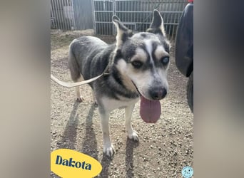 Dakota VA, voller Lebensfreude