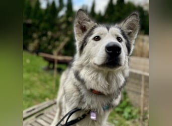 Ruby ein wunderhübsches Mädchen