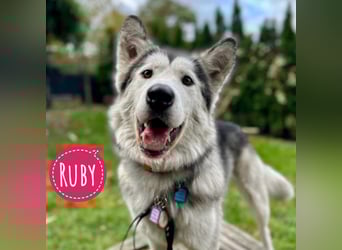 Ruby ein wunderhübsches Mädchen