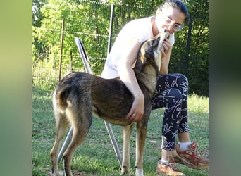 Artur ein Sonnenschein