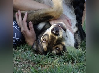 Artur ein Sonnenschein