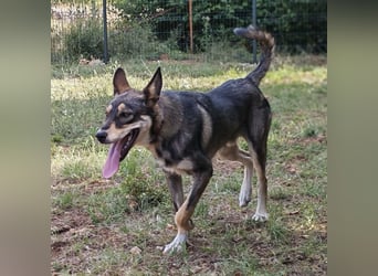 Artur ein Sonnenschein