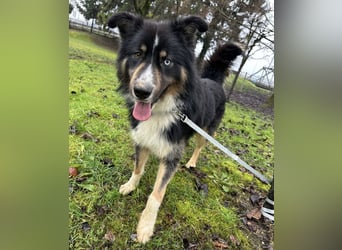 Ljubo ein ganz toller Kerl