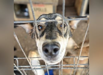 Artur ein Sonnenschein