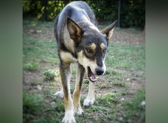 Artur ein Sonnenschein