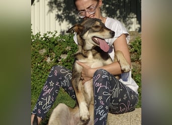 Artur ein Sonnenschein