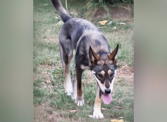 Artur ein Sonnenschein