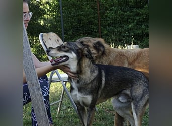 Artur ein Sonnenschein