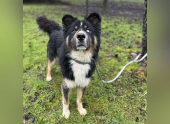 Ljubo ein ganz toller Kerl