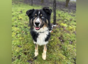 Ljubo ein ganz toller Kerl