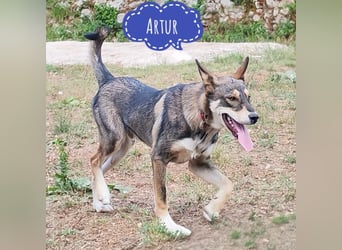 Artur ein Sonnenschein