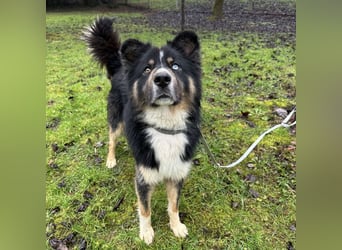 Ljubo ein ganz toller Kerl