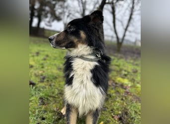 Ljubo ein ganz toller Kerl