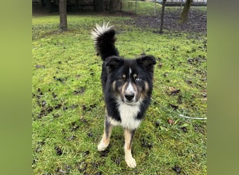 Ljubo ein ganz toller Kerl