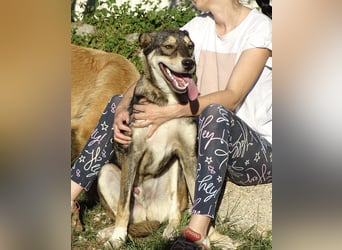 Artur ein Sonnenschein