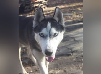 Diego, möchte die Natur erkunden