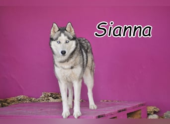 Zeigst du Sianna die Welt?