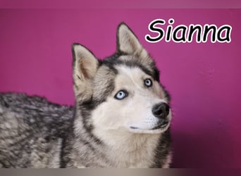 Zeigst du Sianna die Welt?