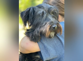 Myke LM - Verspielter Jungspund mit ganz viel Herz