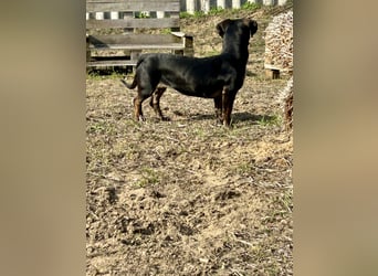 Lotti möchte geliebt werden.