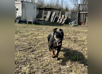 Lotti möchte geliebt werden.