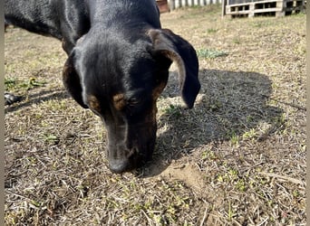 Lotti möchte geliebt werden.