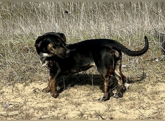 Lotti möchte geliebt werden.