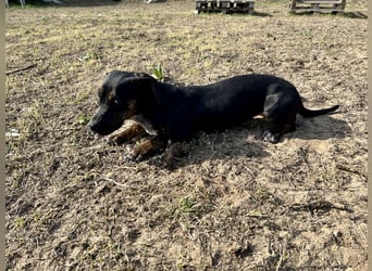 Lotti möchte geliebt werden.