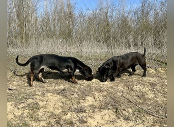 Lotti möchte geliebt werden.