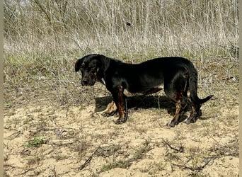 Lotti möchte geliebt werden.