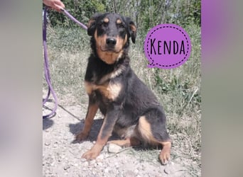 Kenda eine sanfte Seele