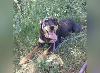 Kenda eine sanfte Seele
