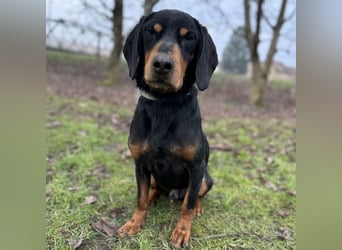 Tony ein trauriger Schatz