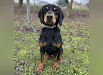 Tony ein trauriger Schatz