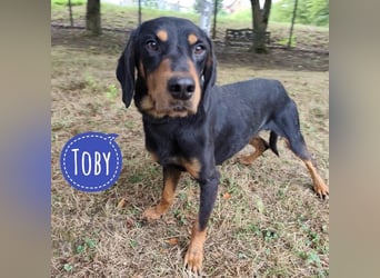 Tony ein trauriger Schatz