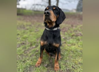 Tony ein trauriger Schatz