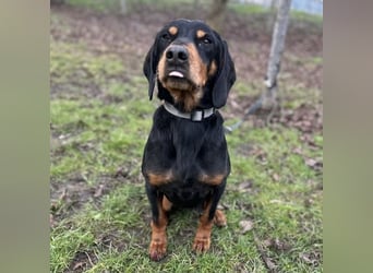 Tony ein trauriger Schatz