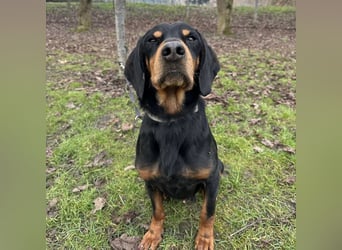 Tony ein trauriger Schatz