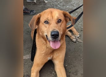 Traumhafte Noa wünscht sich eine Familie