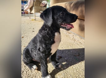 Bohdi wartet auf seine Familie