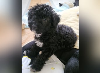 Süße Amara wartet auf dich