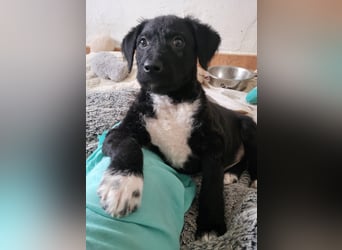 Bohdi wartet auf seine Familie