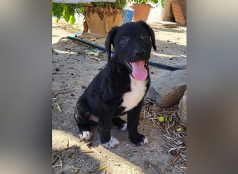 Bohdi wartet auf seine Familie