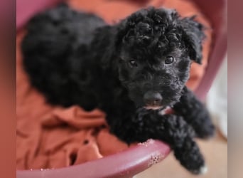 Süße Amara wartet auf dich