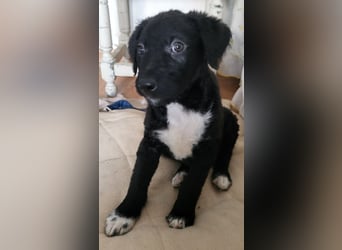 Bohdi wartet auf seine Familie