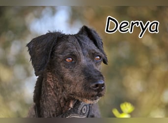 Wer zeigt Derya, dass ihr eigenes Zuhause bereits auf sie wartet?